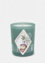 KERZON - Fragranced candle - Pommier en fleur